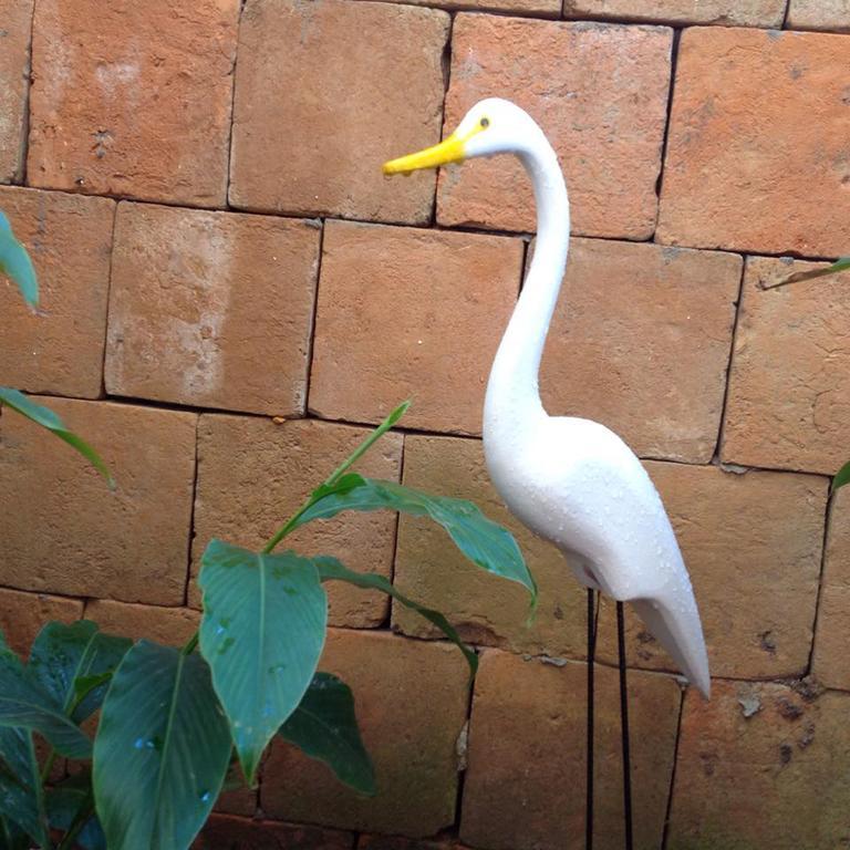 Jardim Secreto Villa Morro de São Paulo Dış mekan fotoğraf